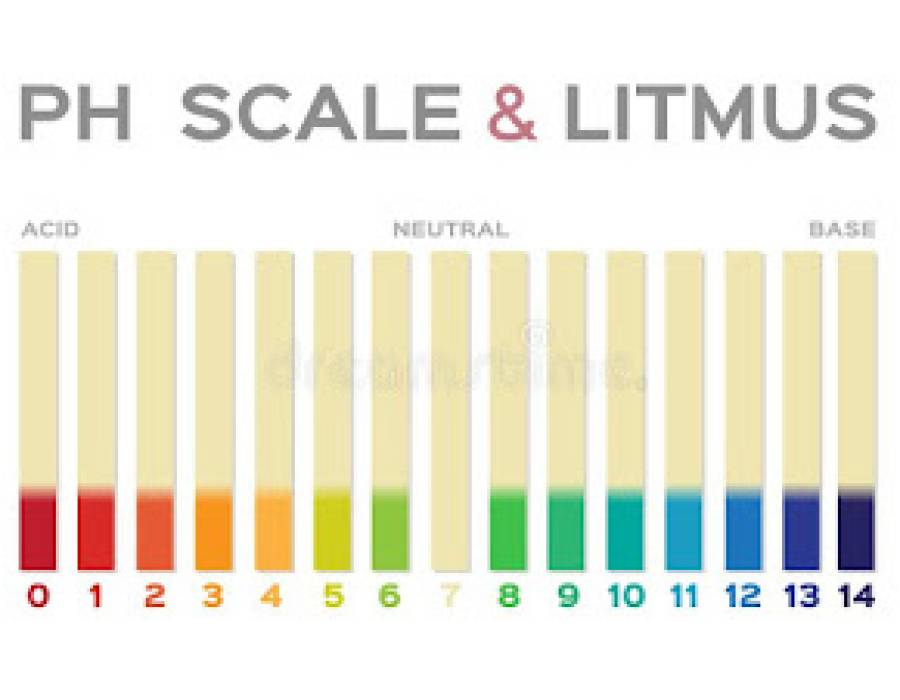 litmus-ph.jpg